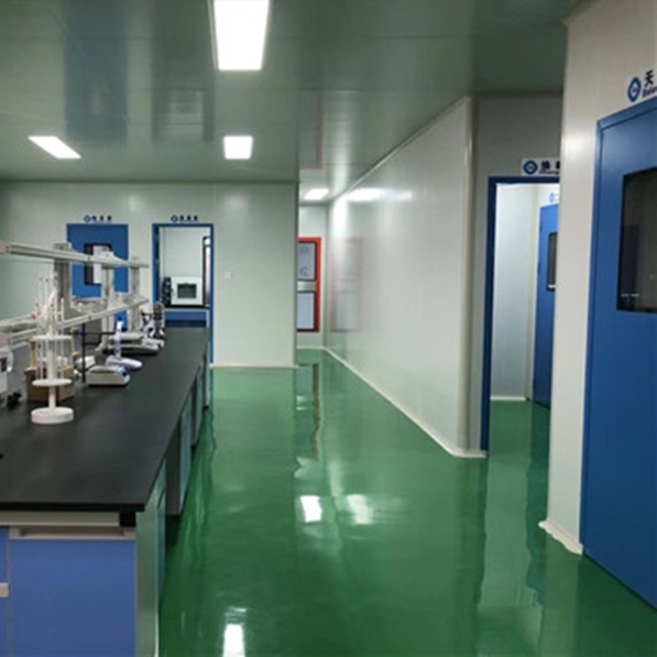 贵州实验室环氧自流坪洁净走廊